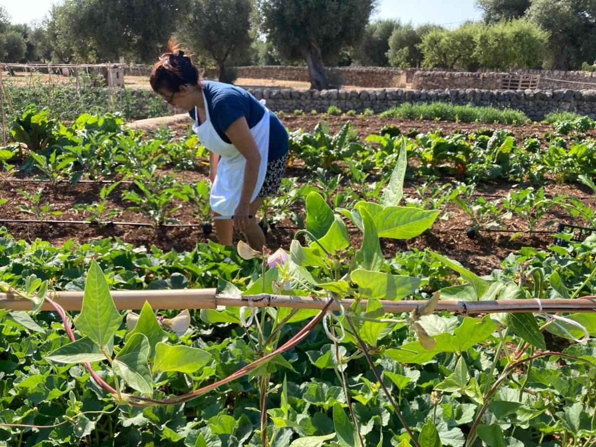 Boutique Hotel Masseria Sottomasi Savelletri Екстер'єр фото
