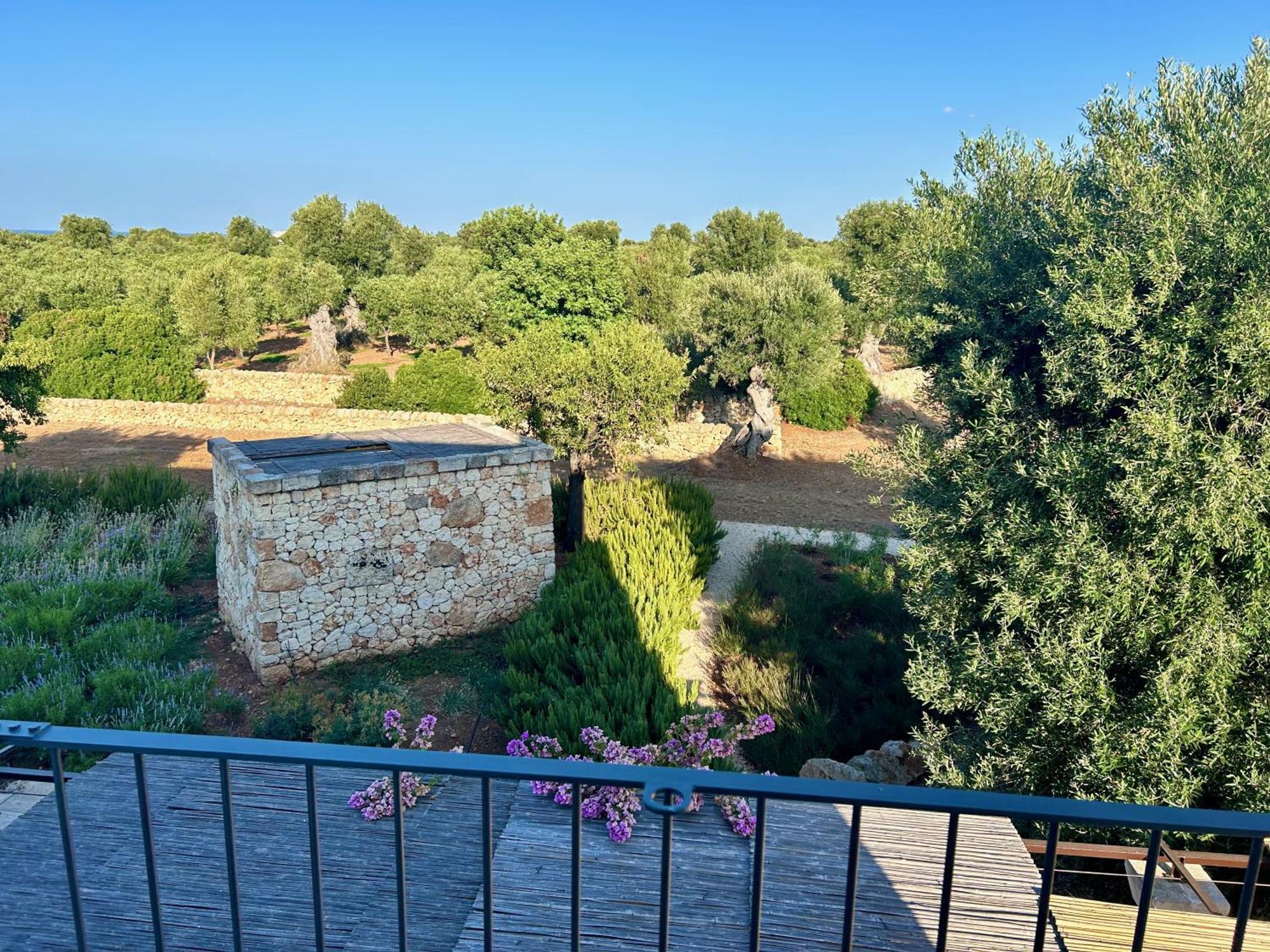 Boutique Hotel Masseria Sottomasi Savelletri Екстер'єр фото