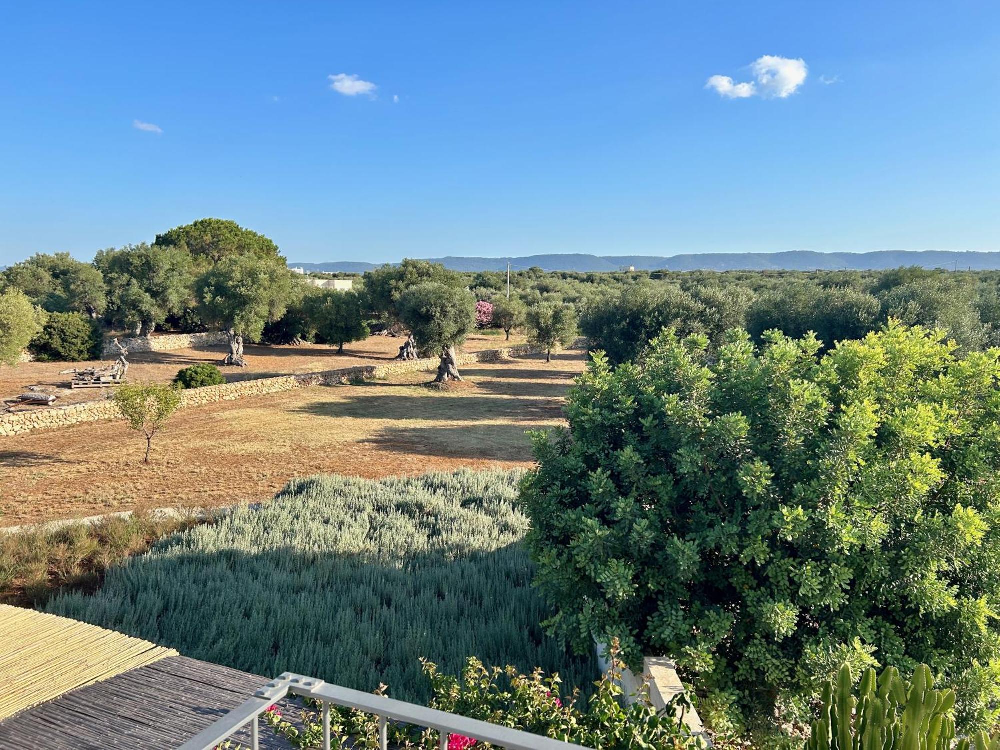 Boutique Hotel Masseria Sottomasi Savelletri Екстер'єр фото