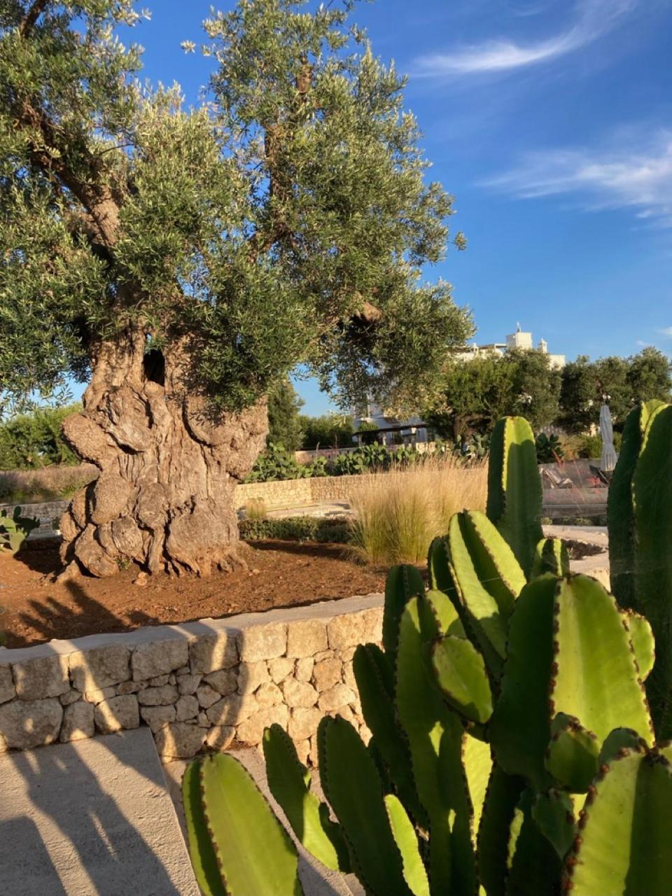 Boutique Hotel Masseria Sottomasi Savelletri Екстер'єр фото