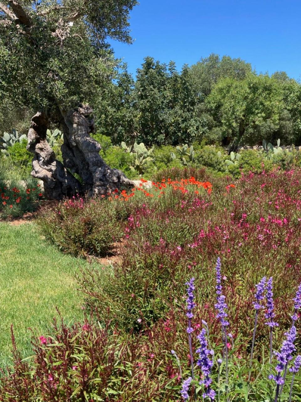 Boutique Hotel Masseria Sottomasi Savelletri Екстер'єр фото