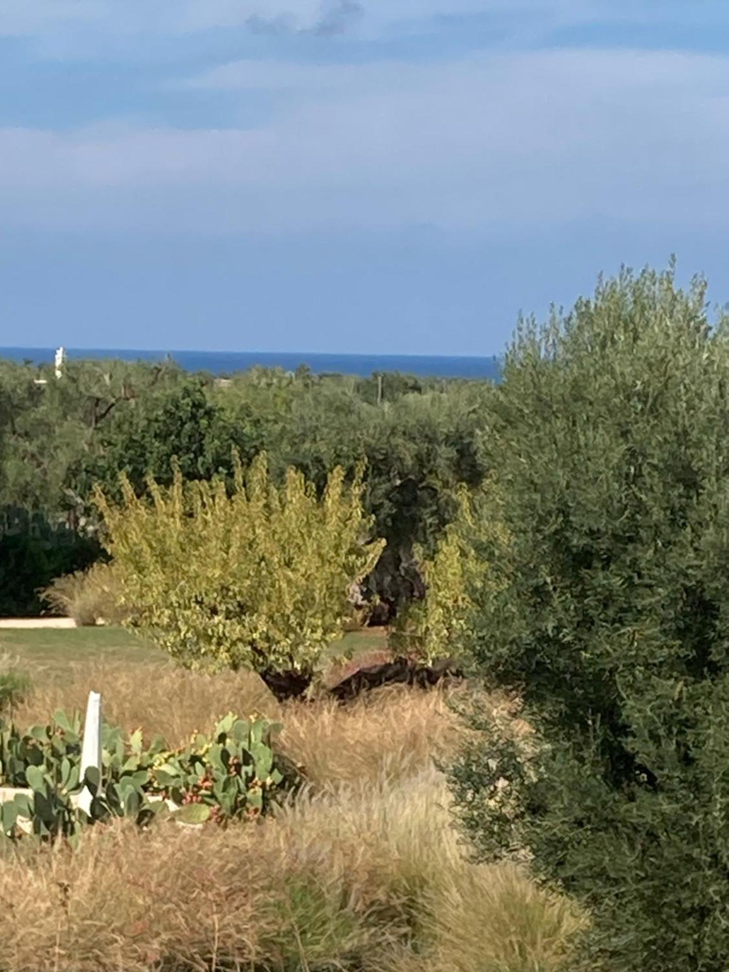 Boutique Hotel Masseria Sottomasi Savelletri Екстер'єр фото